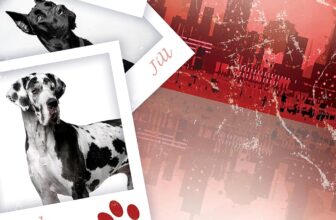 Leashed (Going to the Dogs Book 1)