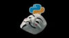 Python and Ethical Hacking: A Complete Cybersecurity Course