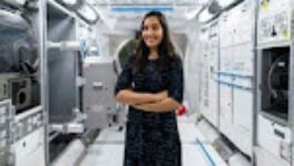 Executive Diploma of Vice President Chief Operating Officer