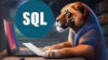 2025 Complete SQL Bootcamp from Zero to Hero in SQL