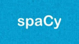 Natural Language Preprocessing Using spaCy