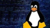 Linux Command Line Terminal Basic for Beginners (In Hindi)