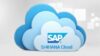 SAP MM PUBLIC CLOUD