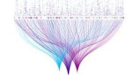 Professional Certificate of IBM SPSS Statistics Expert