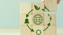 Understanding Economic Sustainability