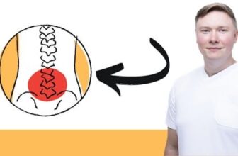 Die Bandscheibe verstehen – Werde dein Bandscheibencoach