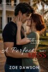 A Perfect Mess (Hope Parish Novels Book 1)