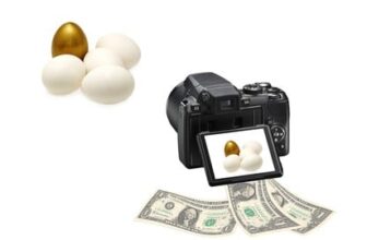 Sell Photo Online: Beginners Guide Stock Photography