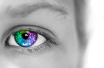 Adobe Lightroom For Beginners : Complete Photo/Image Editing