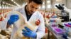 Poultry Diseases Masterclass: Diagnosis & Prevention