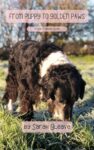 From Puppy to Golden Paws – Your Full Guide to Dog Training: Your essential dog training guide